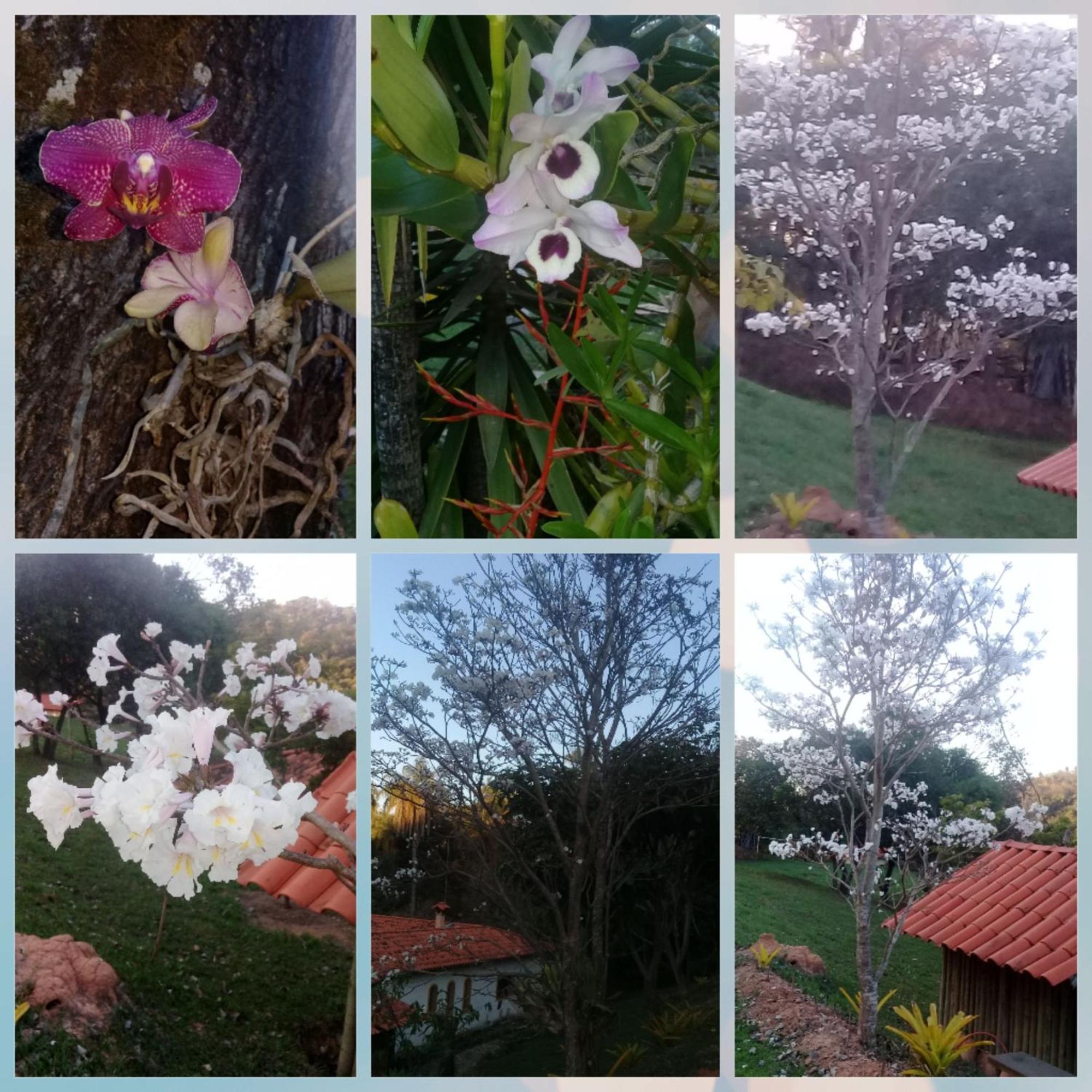 Pousada Rancho Flores Caeté Dış mekan fotoğraf