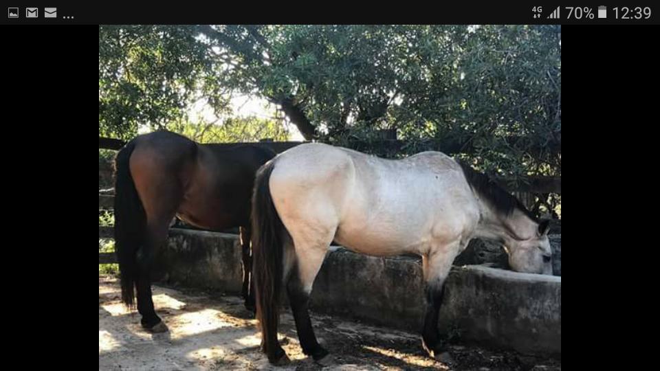 Pousada Rancho Flores Caeté Dış mekan fotoğraf