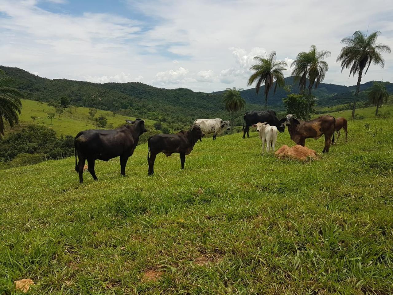 Pousada Rancho Flores Caeté Dış mekan fotoğraf